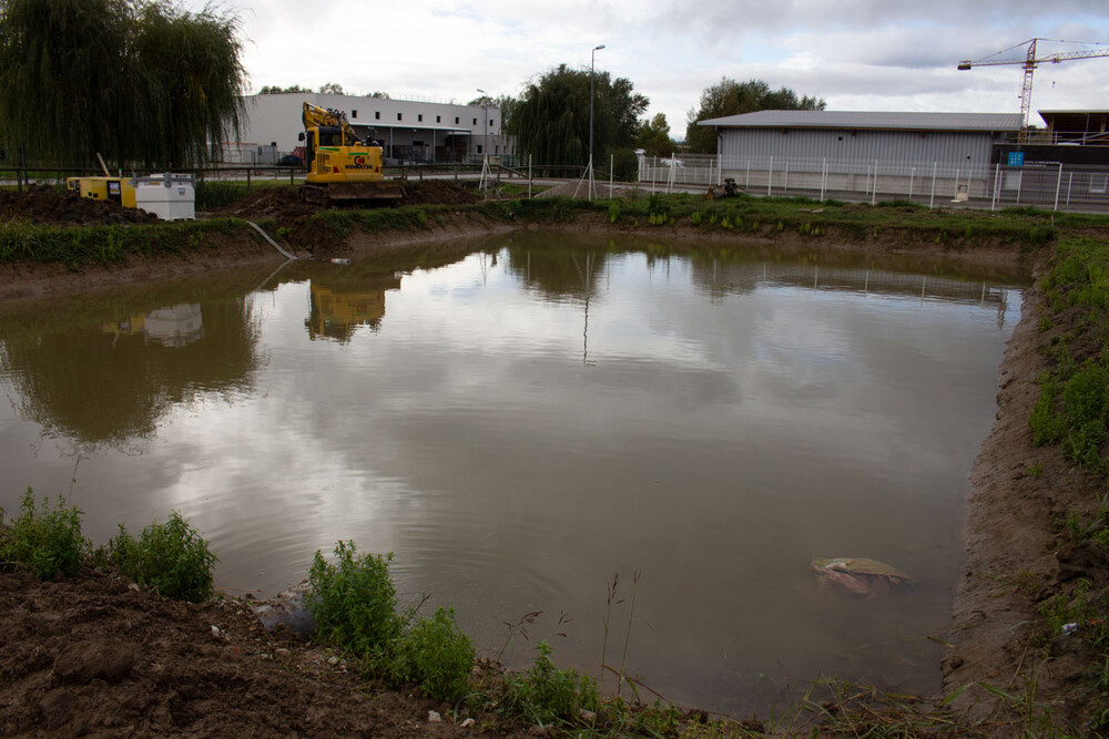 norham-photo-chantier-clapets-fonds-bassin-FLO-PLUG-bassin-st-donat-1-1.jpg